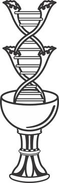 ILMES — International Longevity Medicine Experts Society