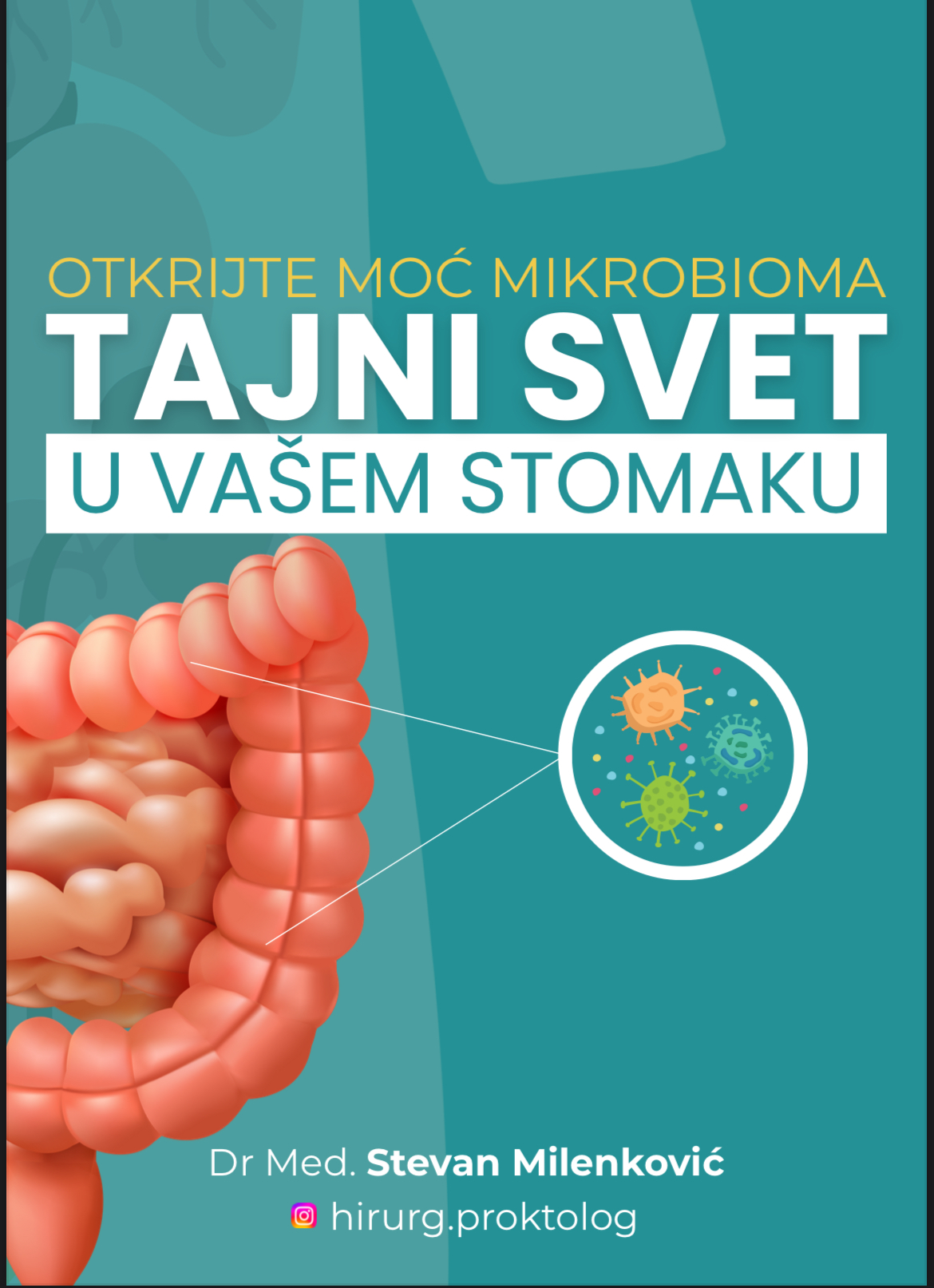 Naslovna slika e-knjige